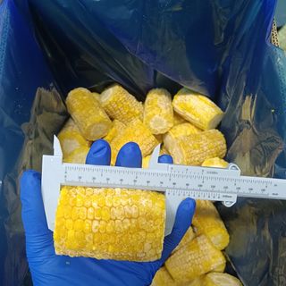 Bắp ngọt (Mỹ) cắt khúc đông lạnh