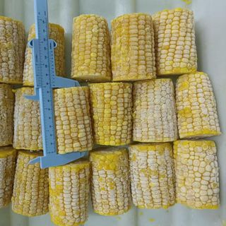 Bắp ngọt (Mỹ) cắt khúc đông lạnh