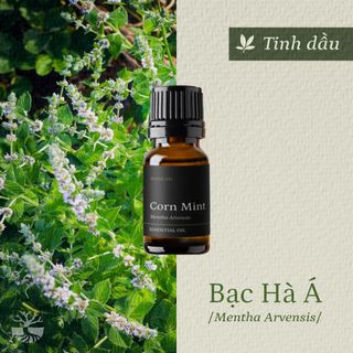 Tinh dầu bạċ Hà Á - Cornmint thiên nhiên thơm lành xông phòng mát lạnh ngọt dịu an thần thông mũi thư giãn | SCENT