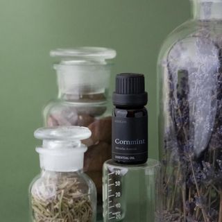 Tinh dầu bạċ Hà Á - Cornmint thiên nhiên thơm lành xông phòng mát lạnh ngọt dịu an thần thông mũi thư giãn | SCENT