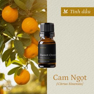 Tinh dầu Cam Ngọt - Sweet Orange thiên nhiên thơm lành xông phòng ngọt ngào hứng khởi thanh lọc không khí | SCENT