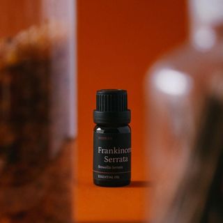 Tinh dầu Nhũ Hương - Frankincense Serrata thiên nhiên thơm lành xông phòng nhựa cây giảm ho an thần dưỡng da | SCENT