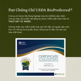 Tinh dầu Tràm Trà - Tea Tree thiên nhiên thơm lành xông phòng tươi mát thảo mộc khử mùi kháng khuẩn làm sạch da | SCENT