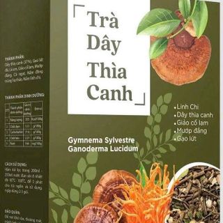 Trà Dây Thìa Canh cho người tiểu đường