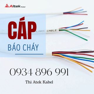 Cáp Báo Cháy 4-6-8 Lõi 0.22mm² – Dây Báo Cháy TCVN – Giá Tốt