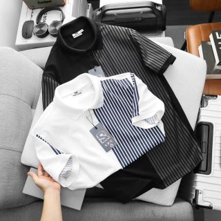 ÁO THUN CỔ BẺ FORM BODY SRB12 DURLI CHẤT CÁ SẤU LẠNH CO GIÃN 4 CHIỀU P338 - LADY'S PASSION