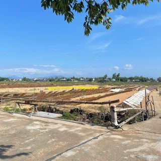BỎ SỈ Bún Phở Khô Bình Định (Cuộn Tròn sợi dẹp)