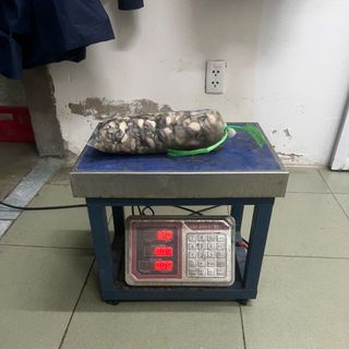 Hàu sữa tách vỏ đủ 1kg