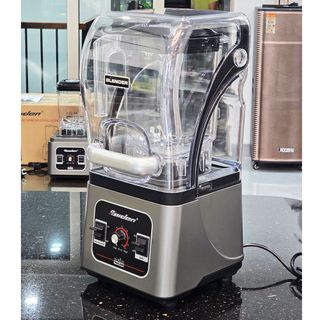 Máy xay sinh tố công nghiệp Raiden RD-630 - Có cối chống ồn, bảo hành 24 tháng