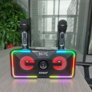 Loa karaoke bluetooth SD-215