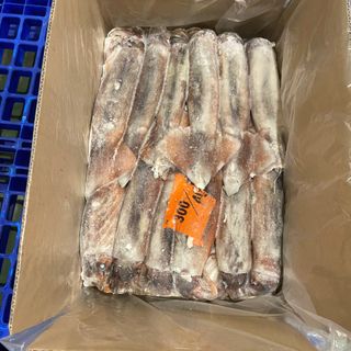 MỰC ỐNG ACHEN ĐÀI LOAN SIZE 300/400G