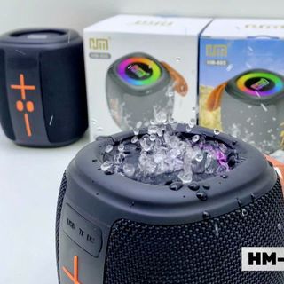 Loa Bluetooth HM-805