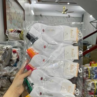 Set 10 đôi tất cổ ngắn nữ