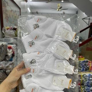 Set 10 đôi tất cổ ngắn nữ