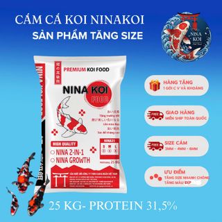 Cám NinaKoi tăng màu