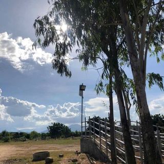 đèn đường năng lượng mặt trời