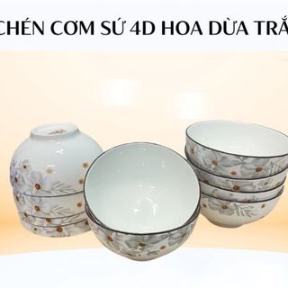 SET 10 CHÉN SỨ HOA DỪA NÂU CHÉN CƠM