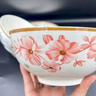TÔ SỨ BẦU HOA DỪA HỒNG SIZE 6 (15CM)