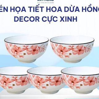 SET 10 CHÉN SỨ HOA DỪA HỒNG CHÉN CƠM