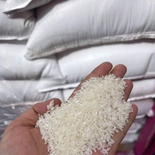 GẠO HƯƠNGLÀI NỞ XỐP, MỀM CƠM KO DÍNH