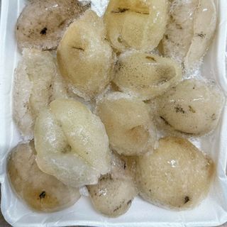 HẢI SÂM DỪA