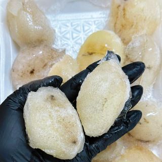 HẢI SÂM DỪA