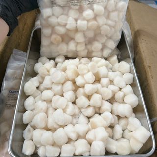 CÒI SÒ ĐIỆP NHẬT VIỀN