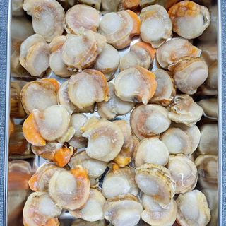 CÒI SÒ ĐIỆP NHẬT VIỀN