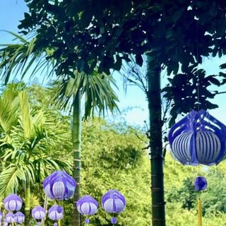 Lồng đèn Nhựa Hoa Sen 30cm