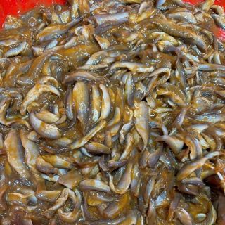 Mắm cá linh đặc sản châu đốc keo 0.5kg