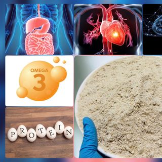Bột Protein Cao Cấp Từ Hạt Sachi – Giải Pháp Bổ Sung Đạm Thực Vật Cho Người Ăn Chay
