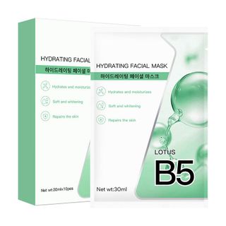 Hộp 10 Miếng Mặt Nạ B5 Hydrating Faceial Mask (5 Màu)