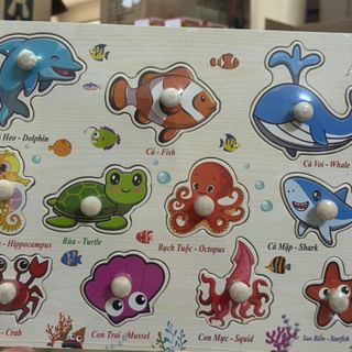 BẢNG NÚM GỖ NHIỀU CHỦ ĐỀ