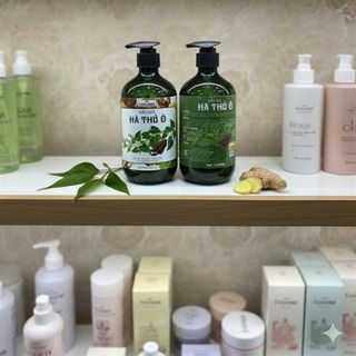 Dầu gội đầu hà thủ ô ngăn ngừa rụng tóc, tóc khô xơ, da đầu ngứa và gàu