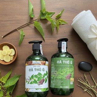 Dầu gội đầu hà thủ ô ngăn ngừa rụng tóc, tóc khô xơ, da đầu ngứa và gàu