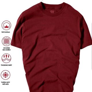Áo thun Nam cổ tròn phong cách basic (Mã : LPBou)