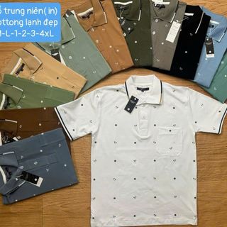 áo trụ trung niên xịn ,ao thun nam,áo thun cổ bẻ