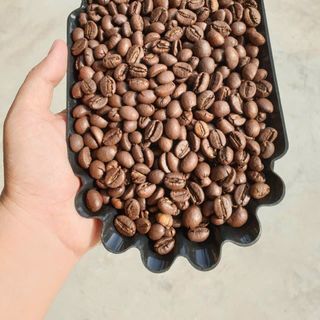 Cà Phê Nguyên Hạt Rang Rô S18