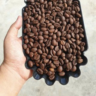 Cà Phê Nguyên Hạt Rang Rô S18