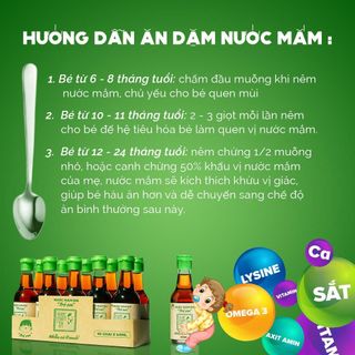 LỐC 10 Chai 42N 60ml Nước mắm Tĩn Cho Bé Ăn Dặm độ đạm 42N chai thủy tinh nhiều cá ít muối