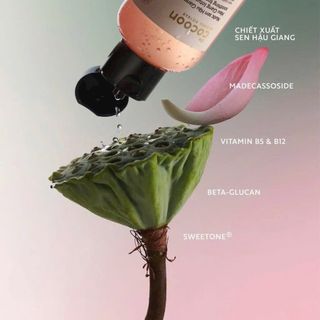 Nước sen hậu giang