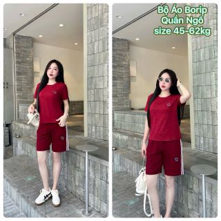 Bộ áo borip quần ngố 45-65kg