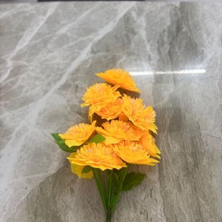 Hoa vải sao biển