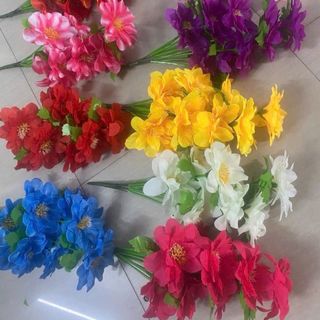 Hoa vải Thuỷ Tiên bụi 10 bông