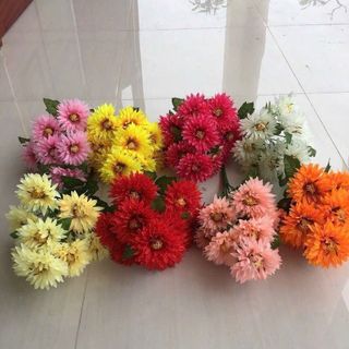 Hoa cúc bụi 10 bông