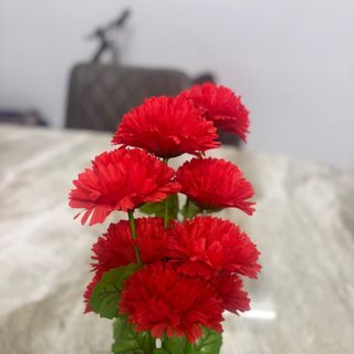 Bụi cúc vạn thọ 10 bông cao 46cm