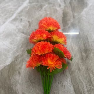 Bụi cúc vạn thọ 10 bông cao 46cm
