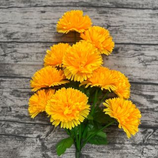 Bụi cúc vạn thọ 10 bông cao 46cm