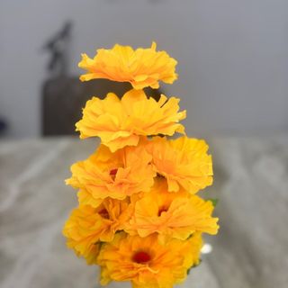 Bụi Hoa Hải Đường