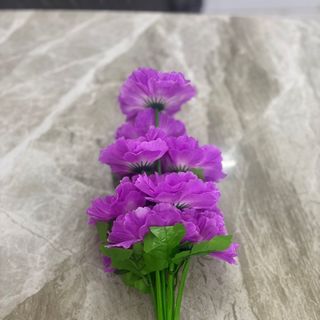 Bụi Hoa Hải Đường
